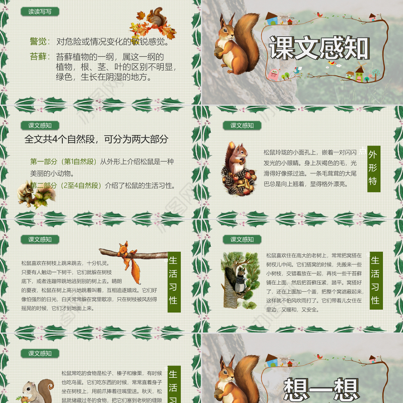 2022松鼠PPT实景清新语文教学课件模板原创24页