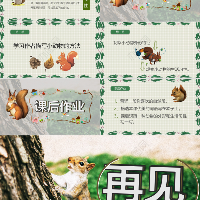 2022松鼠PPT实景清新语文教学课件模板原创24页