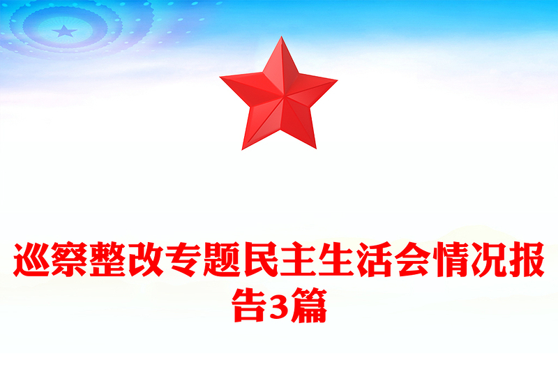 巡察整改专题民主生活会情况报告3篇