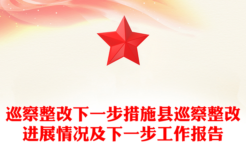 巡察整改下一步措施县巡察整改进展情况及下一步工作报告