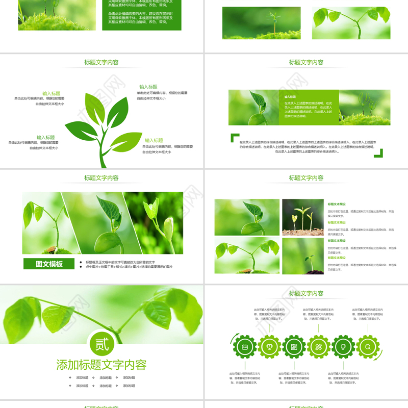 原创唯美绿色植物发芽植物生长敬畏生命PPT模板-版权可商用