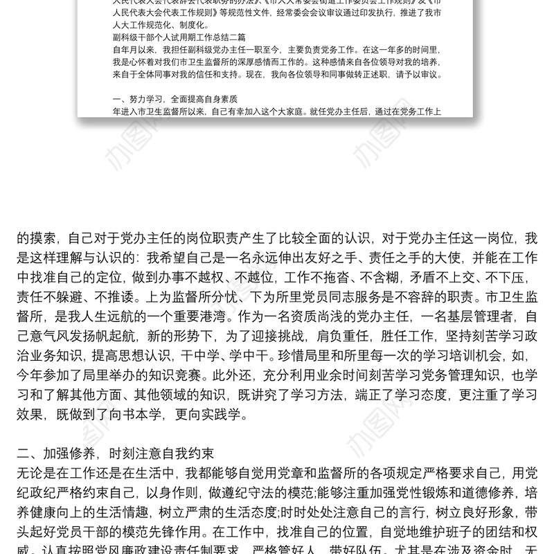 副科级干部个人试用期工作总结三篇