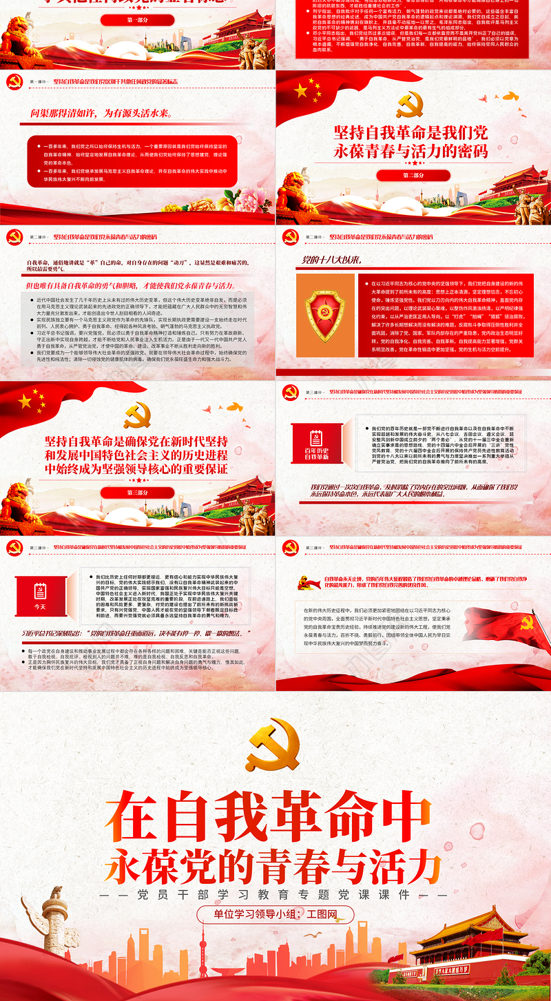 在自我革命中永葆党的青春与活力PPT党政风党员干部学习教育专题党课