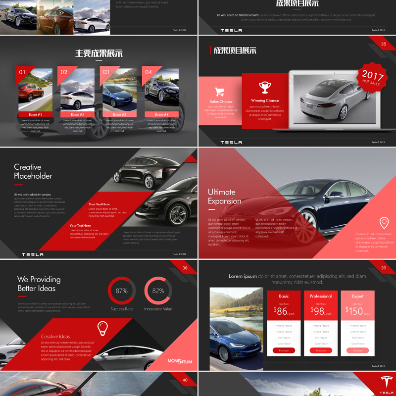 高端新能源汽车特斯拉tesla营销策划方案ppt