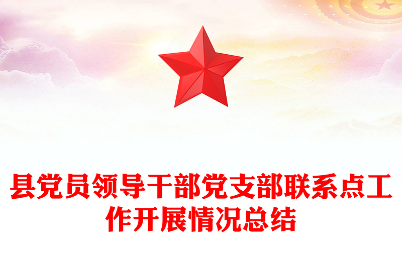 县党员领导干部党支部联系点工作开展情况总结