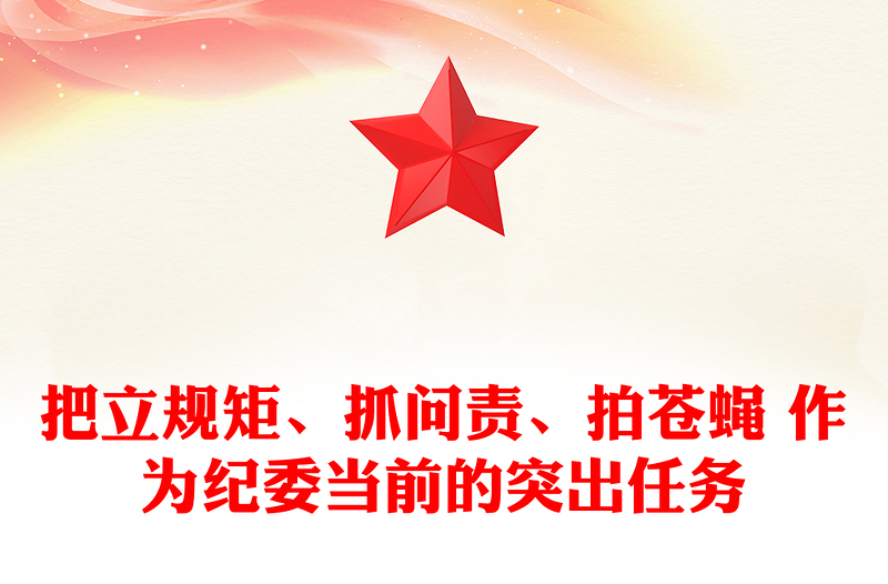 把立规矩、抓问责、拍苍蝇 作为纪委当前的突出任务