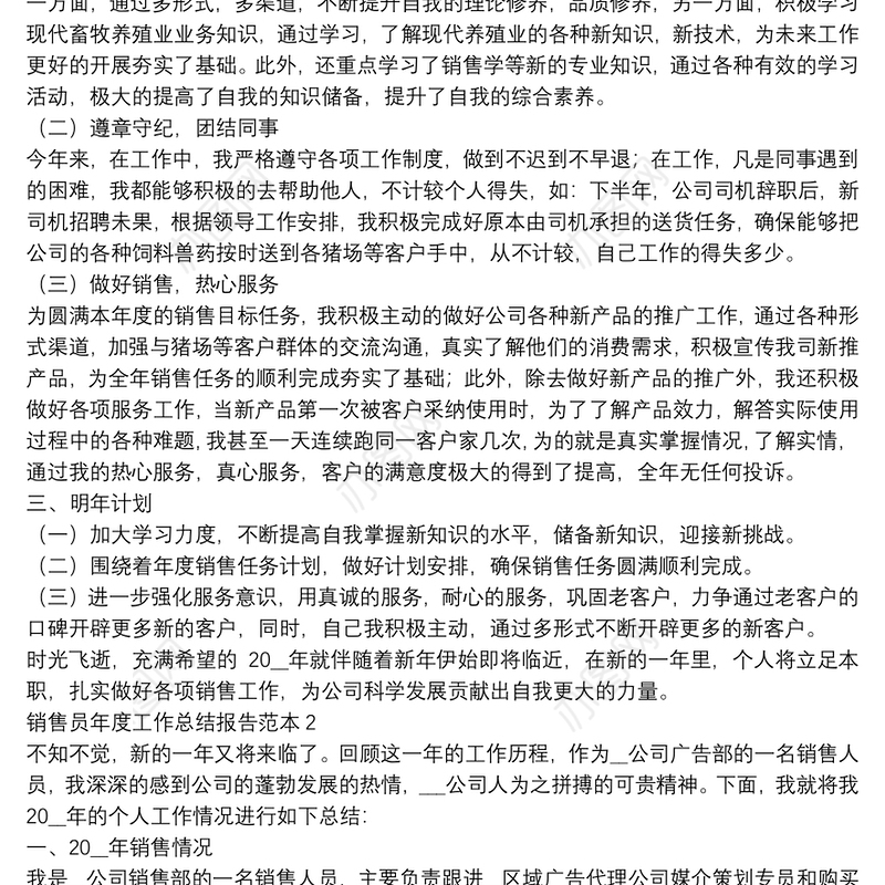 销售员年度工作总结报告范本