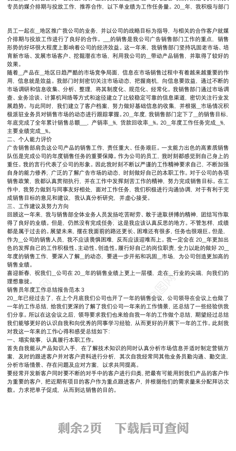 销售员年度工作总结报告范本