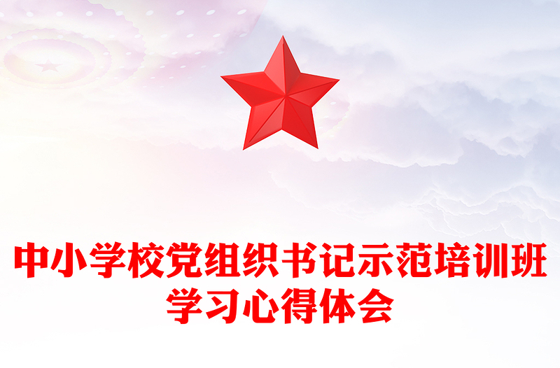 中小学校党组织书记示范培训班学习心得体会