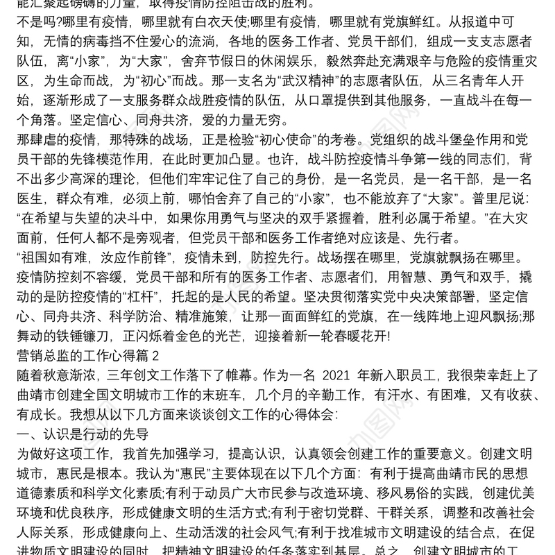 营销总监的工作心得9篇