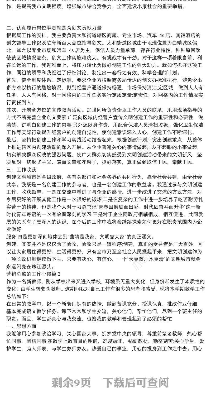 营销总监的工作心得9篇