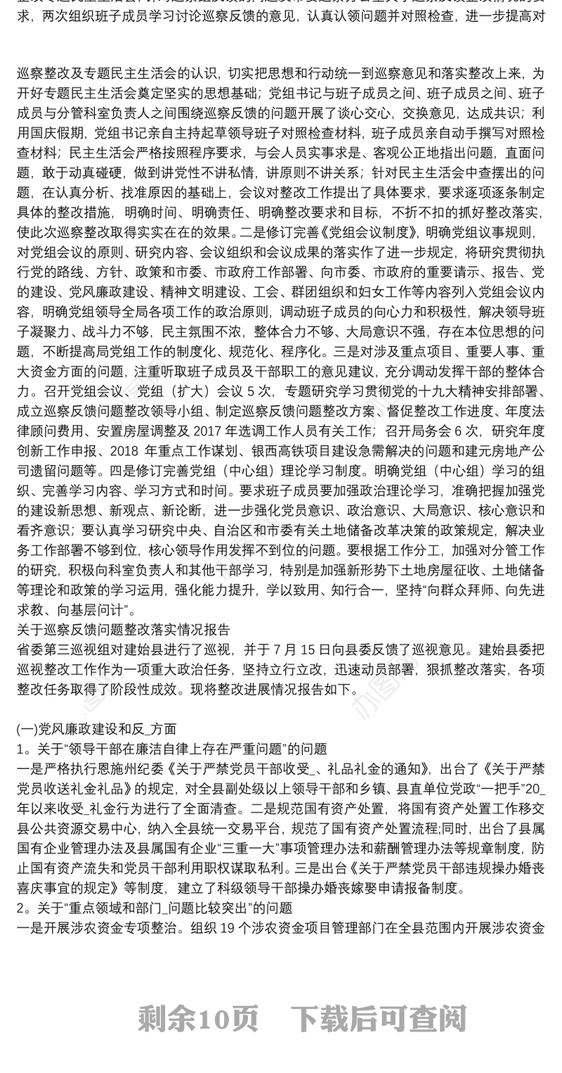 关于巡察反馈问题整改落实情况报告