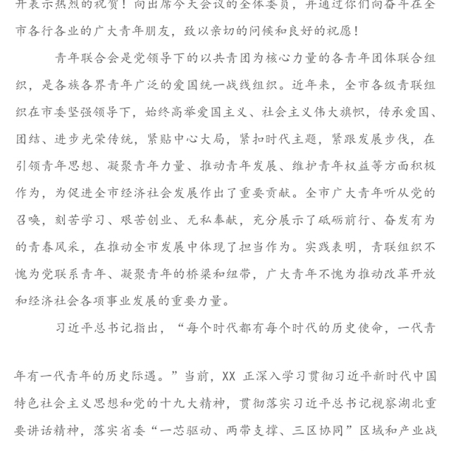 高扬青春旗帜奋力担当作为谱写壮丽的青春之歌-在共青团青年联合会委员会全体会议上的讲话