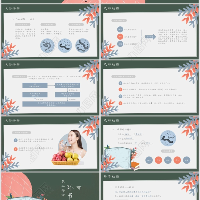 人教版八年级线形动物和环节动物课件