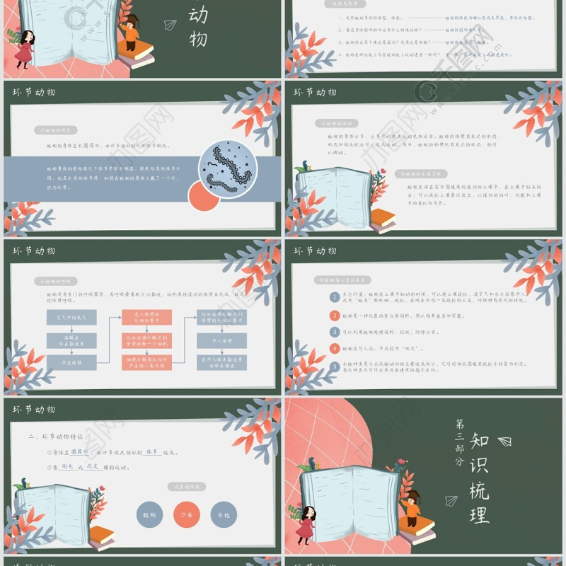 人教版八年级线形动物和环节动物课件