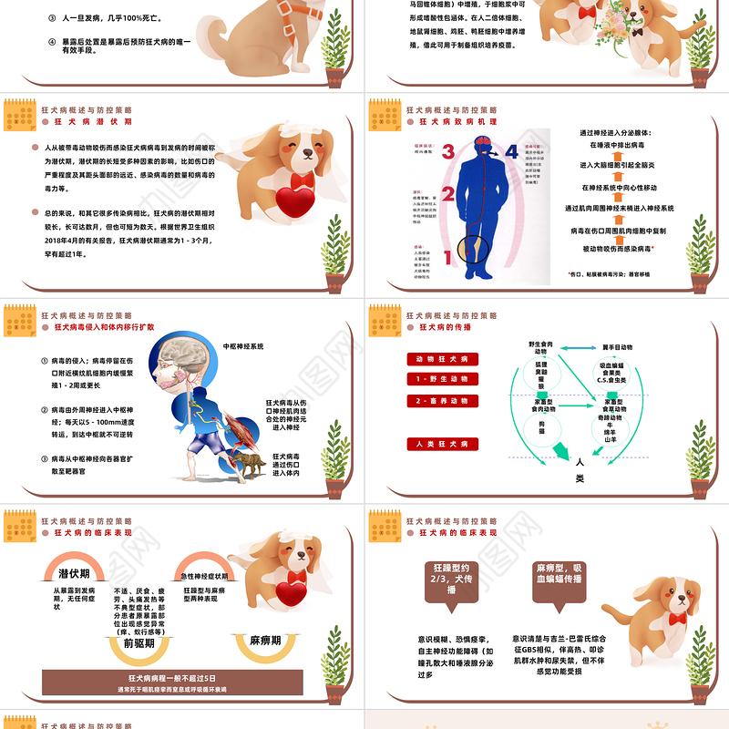 卡通插画风狂犬病防控知识培训PPT课件模板