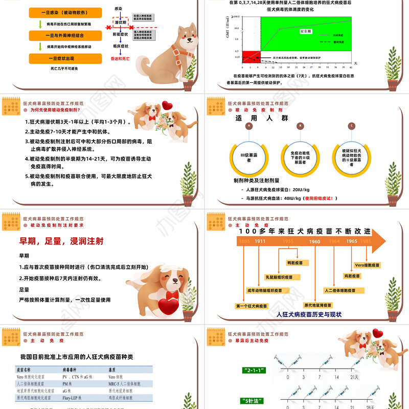 卡通插画风狂犬病防控知识培训PPT课件模板