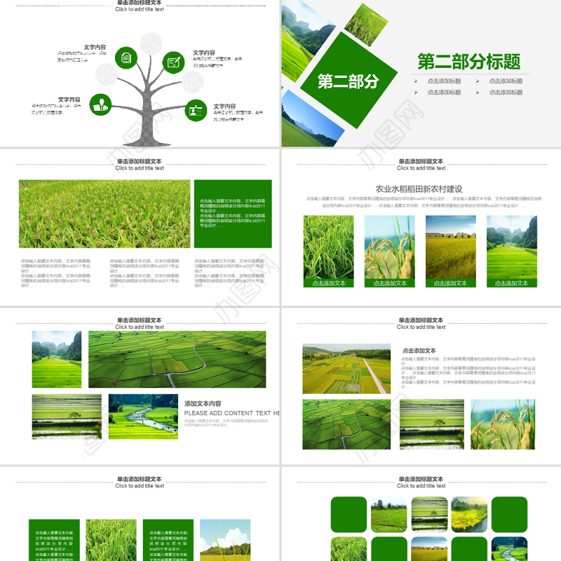 原创绿色农田稻田水稻梯田绿洲农业生产PPT模板-版权可商用