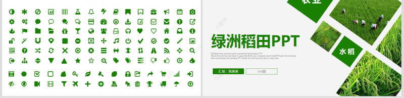 原创绿色农田稻田水稻梯田绿洲农业生产PPT模板-版权可商用