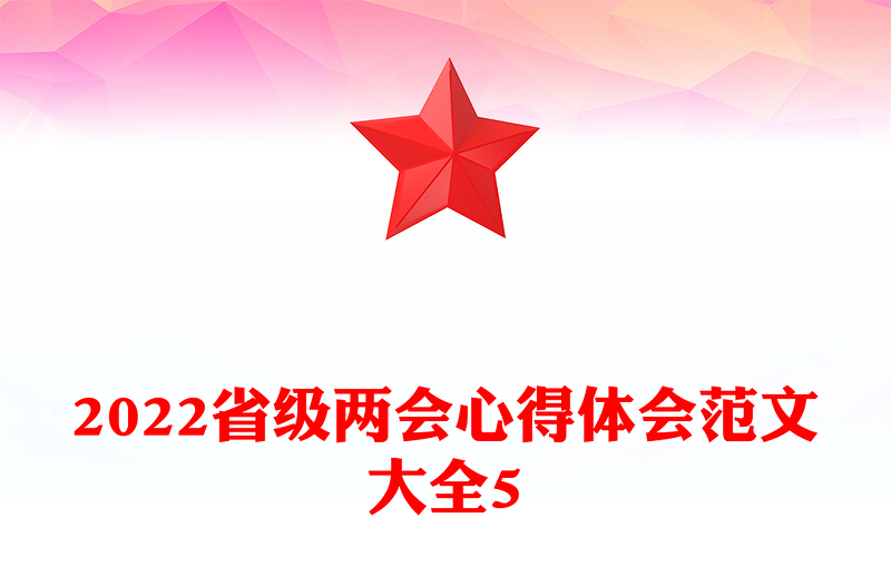 2022省级两会心得体会范文大全5