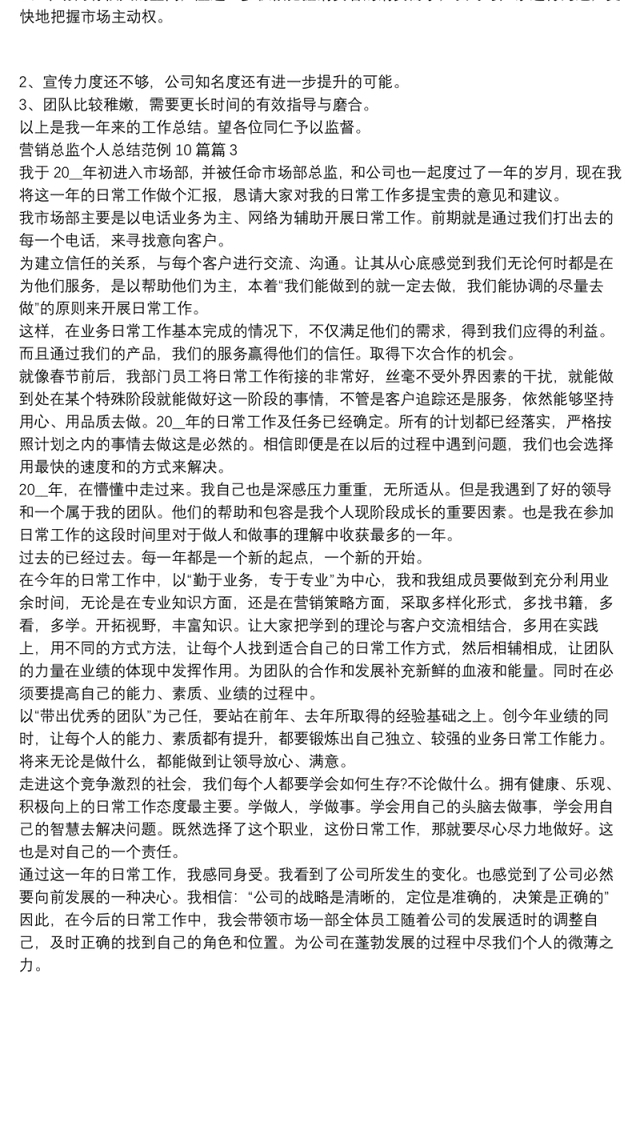 营销总监个人总结范例10篇3篇