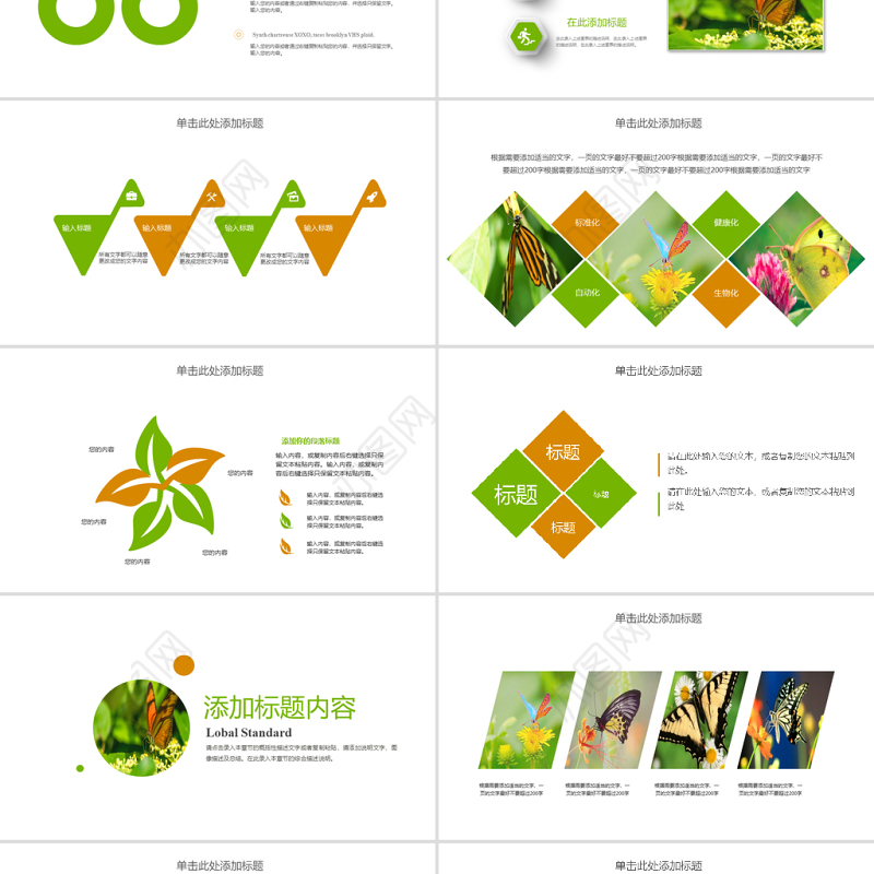 昆虫蝴蝶蜕变商务汇报总结计划PPT模板