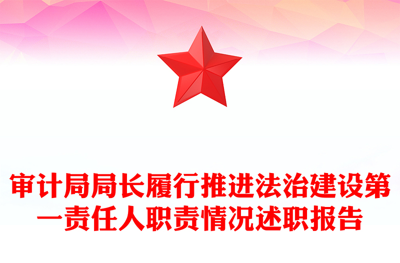 审计局局长履行推进法治建设第一责任人职责情况述职报告