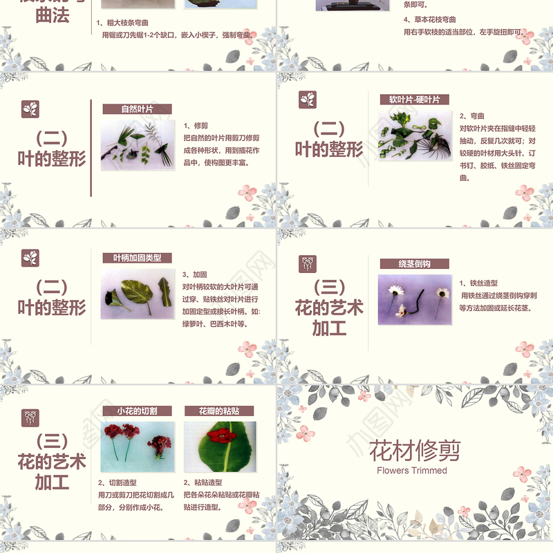 唯美小清新花艺百科花艺培训插花基本技能培训课件PPT模版