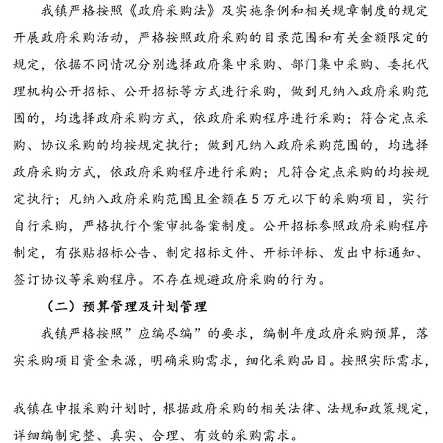 乡镇政府采购项目自查情况报告范文