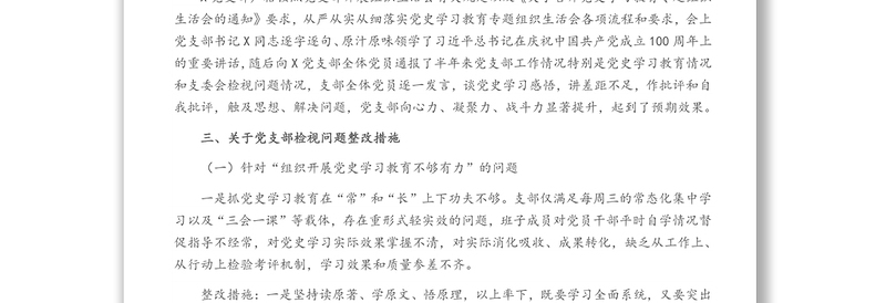 党支部班子党史学习教育专题组织生活会整改方案