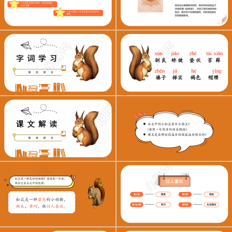 2022松鼠PPT第17课小学五年级语文上册部编人教版教学课件
