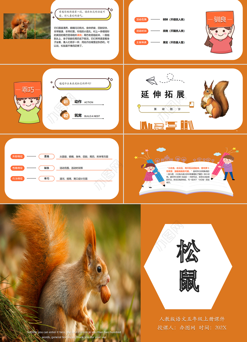 2022松鼠PPT第17课小学五年级语文上册部编人教版教学课件