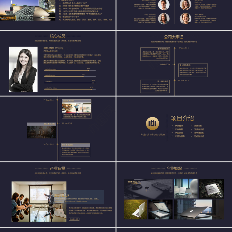 框架完整大气黑金商业策划书创业计划书PPT