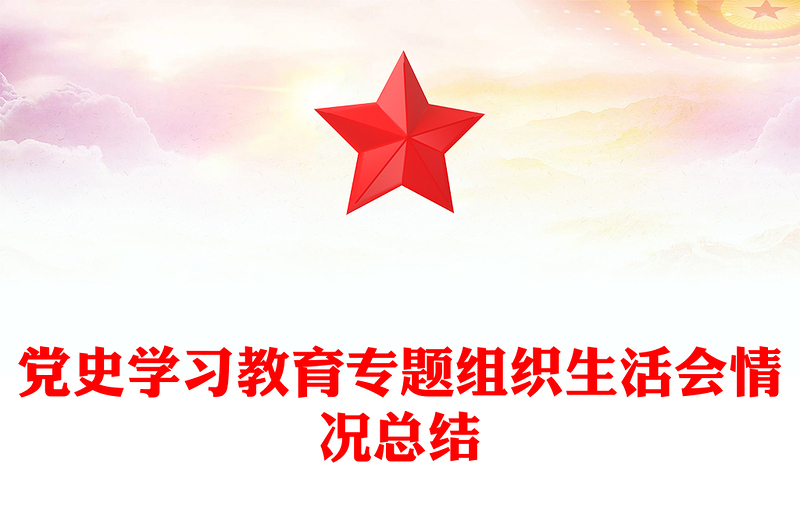 党史学习教育专题组织生活会情况总结