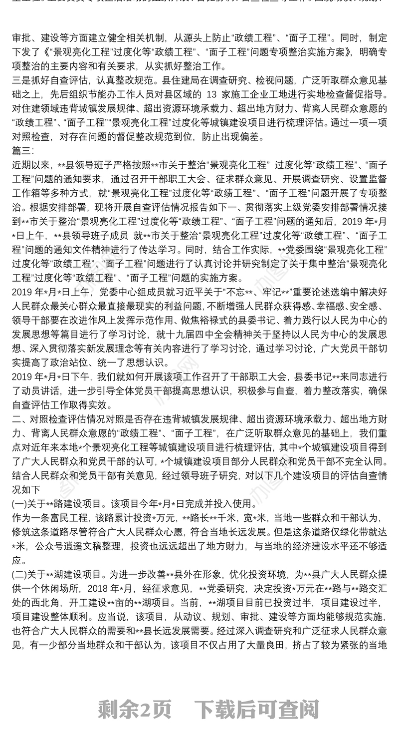 整治亮化工程形象工程政绩工程问题自查评估报告3篇