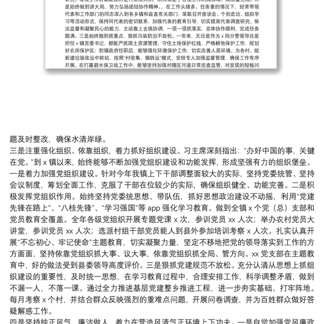 新任职党委书记年度述职述廉报告