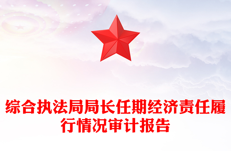 综合执法局局长任期经济责任履行情况审计报告