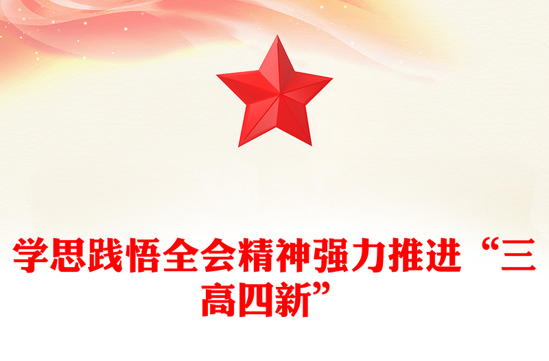 学思践悟全会精神强力推进“三高四新”