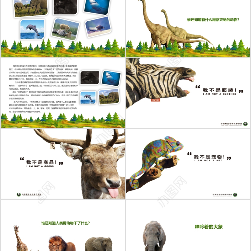 卡通风格世界动物保护日PPT模版