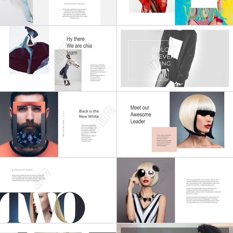 时尚风格奢侈时装潮流品牌宣传ppt模板