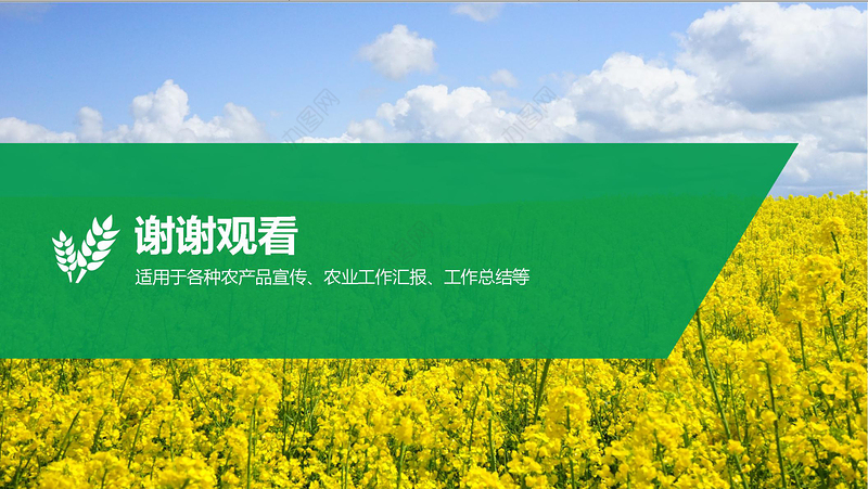农业招商农产品宣传PPT模板