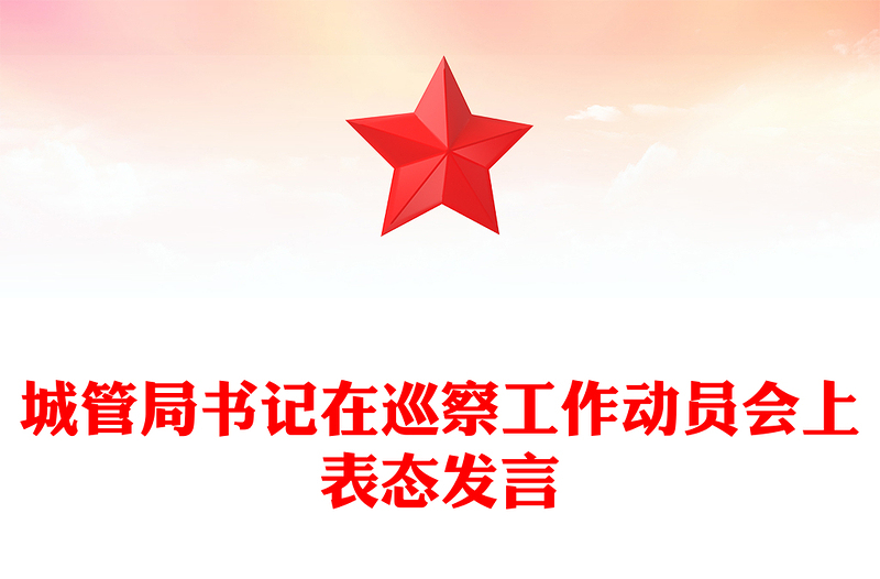 城管局书记在巡察工作动员会上表态发言