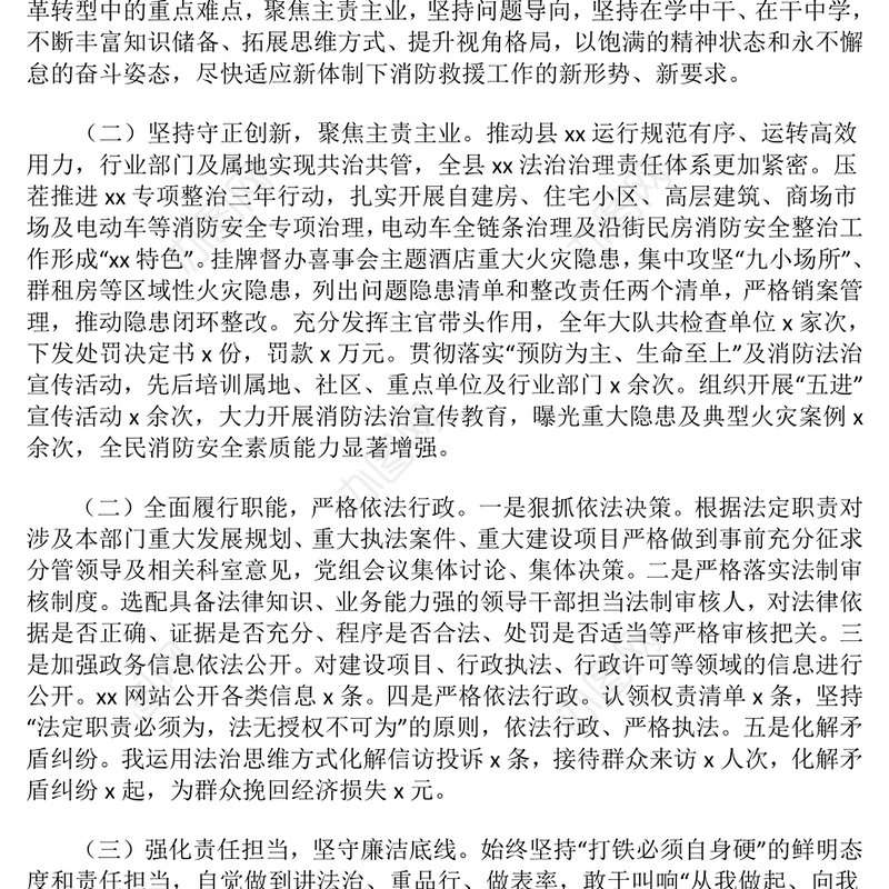 2024年主要负责人个人述法报告