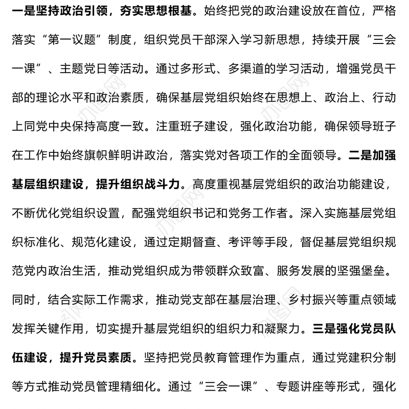 2024年党组织书记抓基层党建工作述职报告