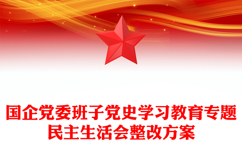 国企党委班子党史学习教育专题民主生活会整改方案