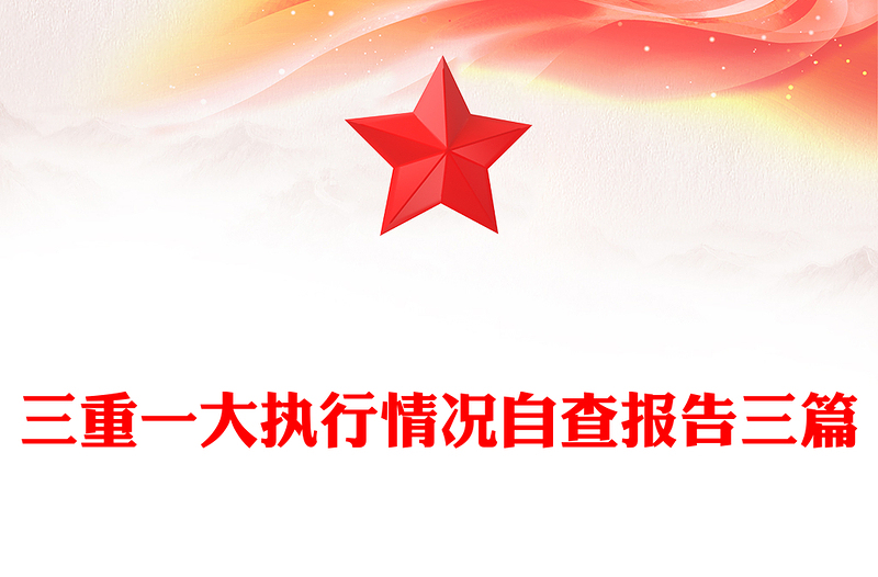 三重一大执行情况自查报告三篇