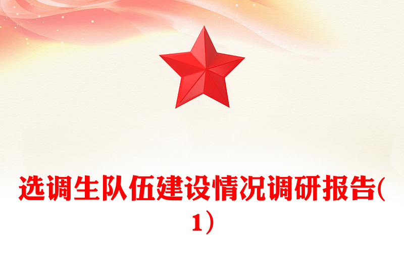 选调生队伍建设情况调研报告(1)