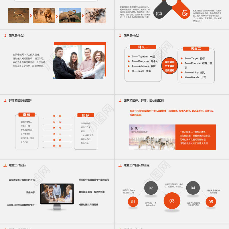橙色团队凝聚力培训课件PPT高效团队精神团结合作PPT模板