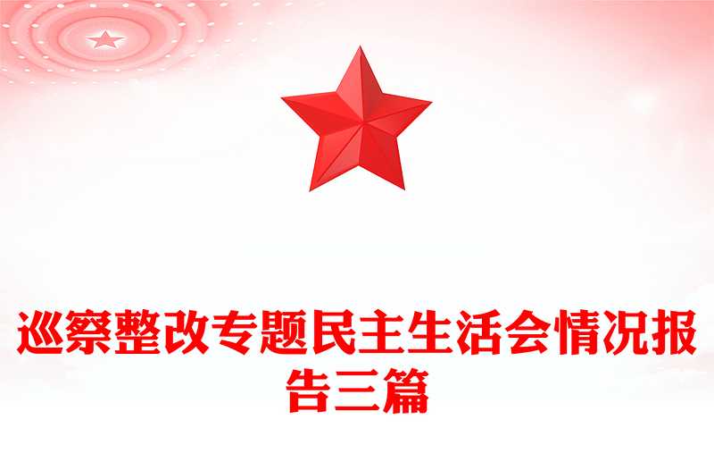巡察整改专题民主生活会情况报告三篇
