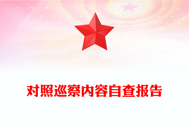 对照巡察内容自查报告